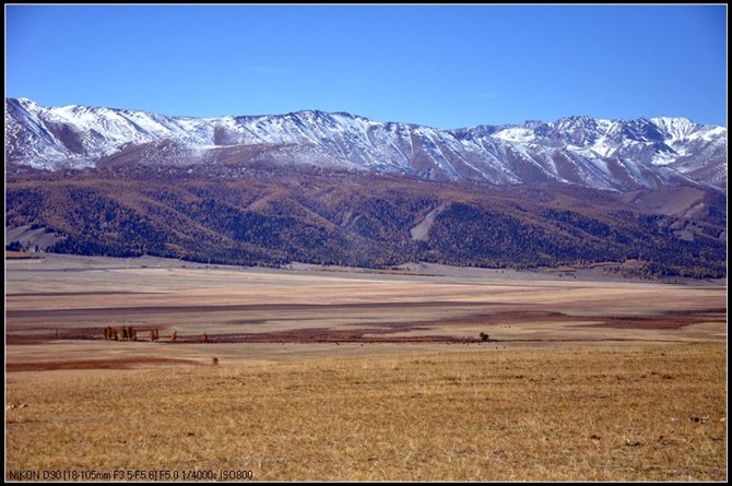 巴里坤人口_蒲类海大观园 滑雪场 婚庆园(3)