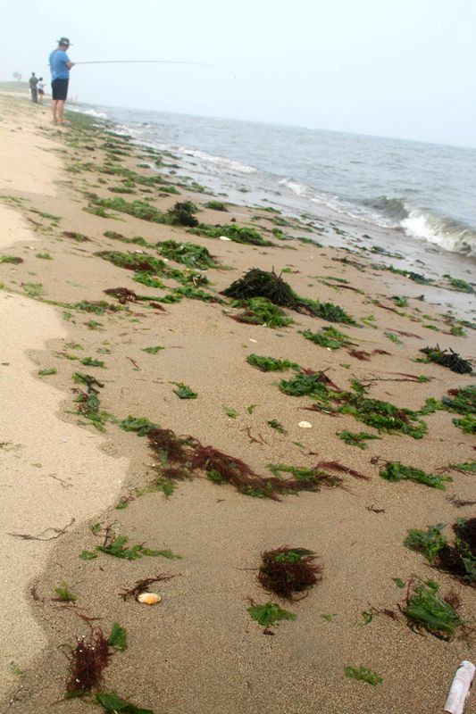 wKgIC1o7zKiAN4IZAAGTTjUDdoU53.jpeg?imageView2%2F2%2Fw%2F600%2Fh%2F600%2Fq%2F90