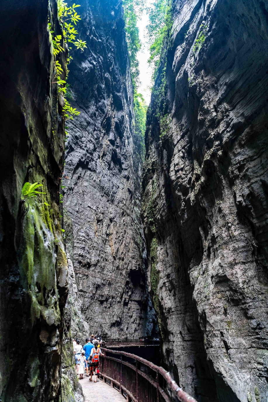 重庆避暑观星圣地—涪陵武陵山国家森林公园,武陵山大裂谷两日自驾游