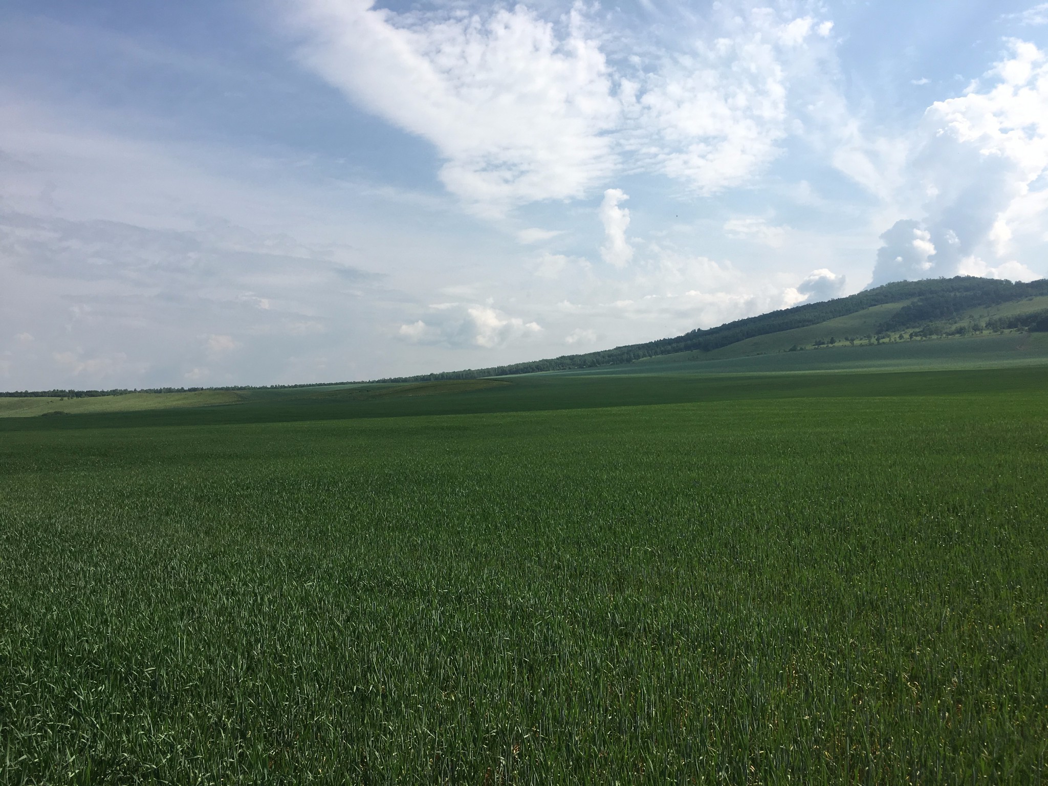 wKgBZ1lk5S-Ack_JAAy5mu3fOgw45.jpeg?imageView2%2F2%2Fw%2F600%2Fq%2F50