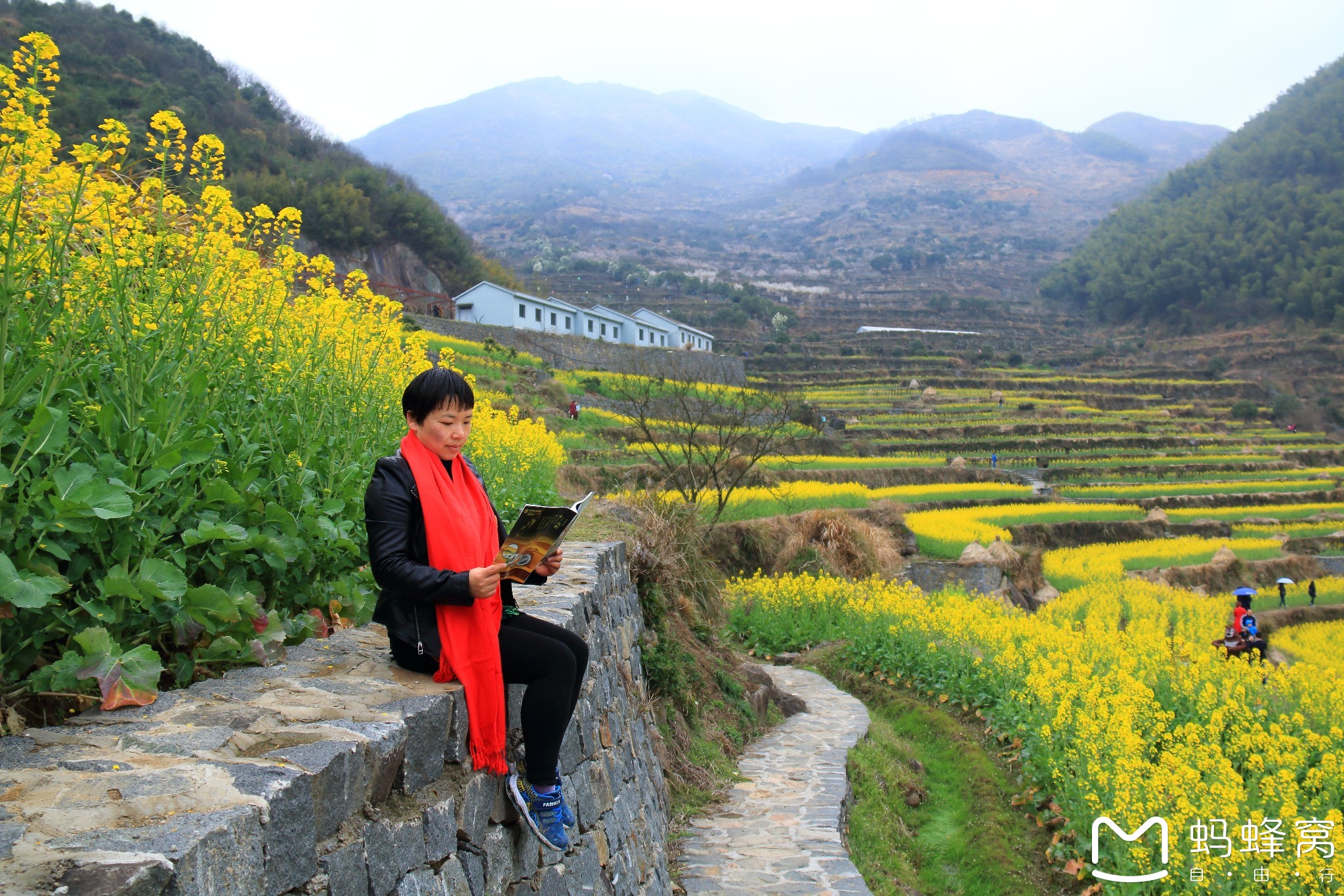 千年梯田,十里油菜花开!【上虞覆卮山赏花之旅】