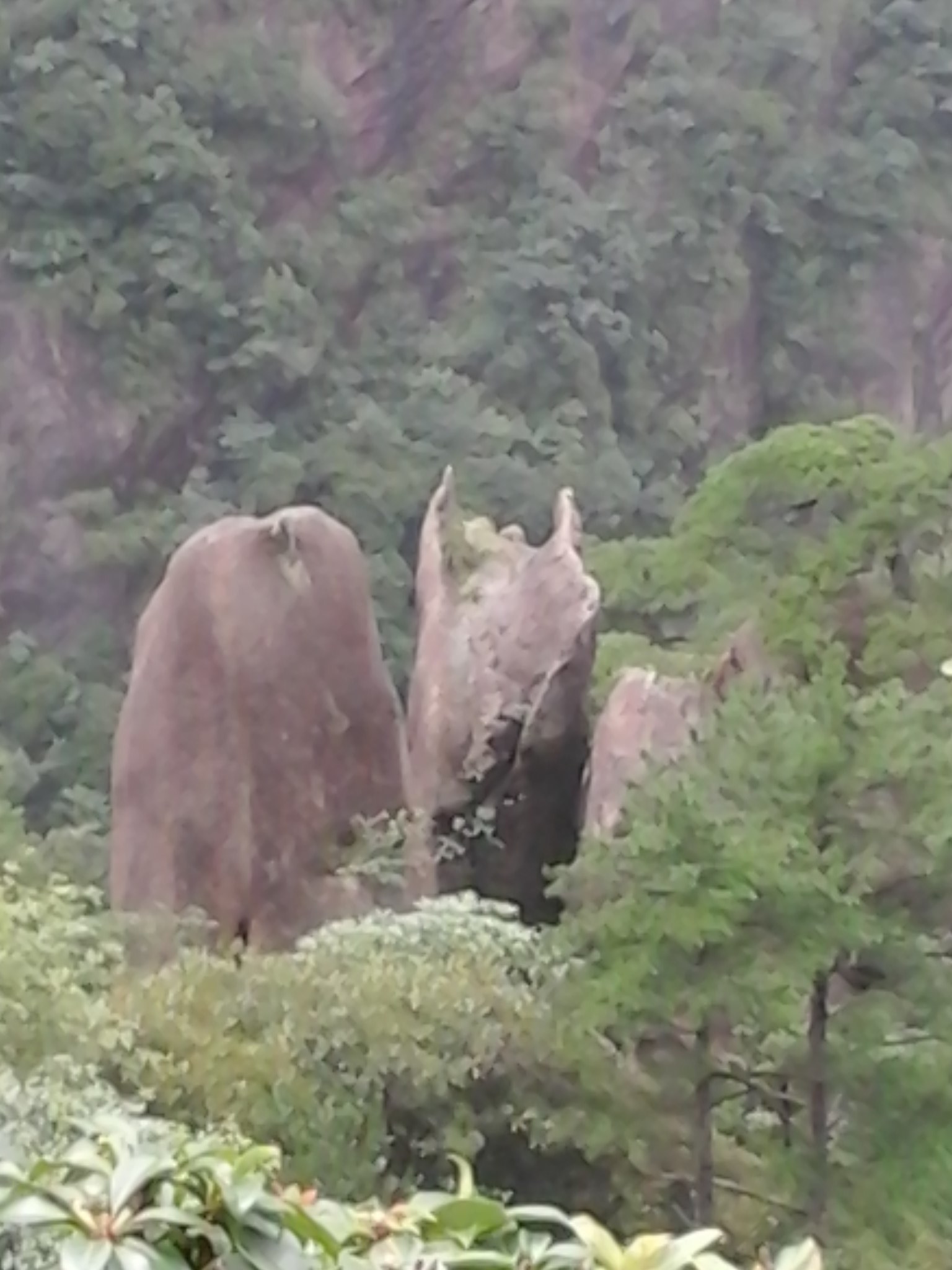 道仙之山一三清山