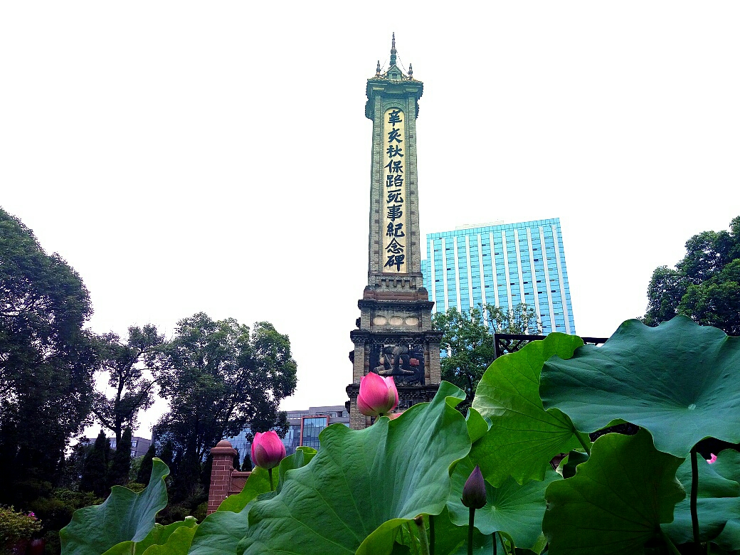 成都旅游人均_成都旅游图片(2)