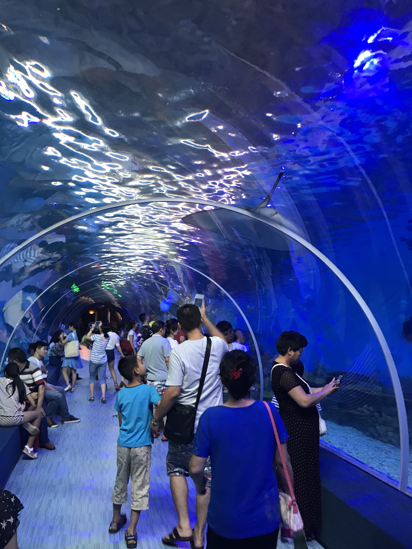 重庆汉海海洋公园      