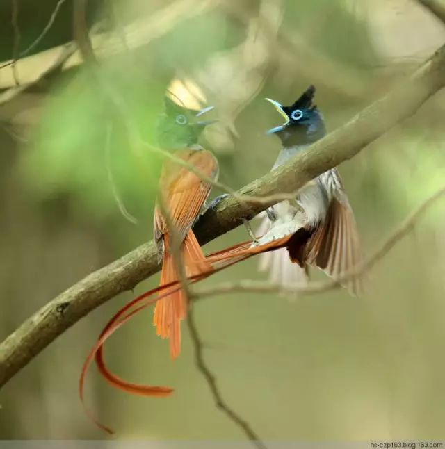wKgBZ1oWQ8aAWEusAACLH_wUCuI66.jpeg?imageView2%2F2%2Fw%2F600%2Fh%2F600%2Fq%2F90