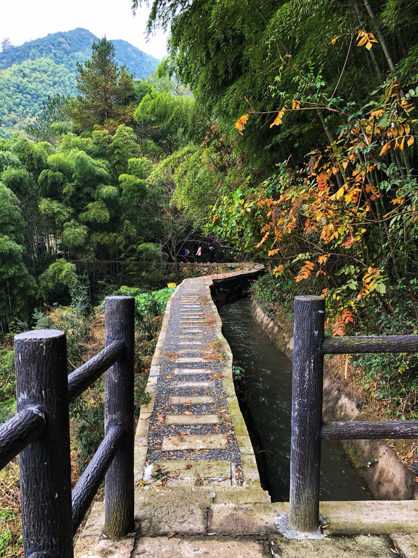 4个半小时到达桐庐富春江石舍村,在石舍村用过午餐后,准备向马岭古道