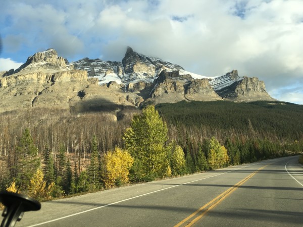 24天,7700km,4个时区,1号公路上各大国家公园