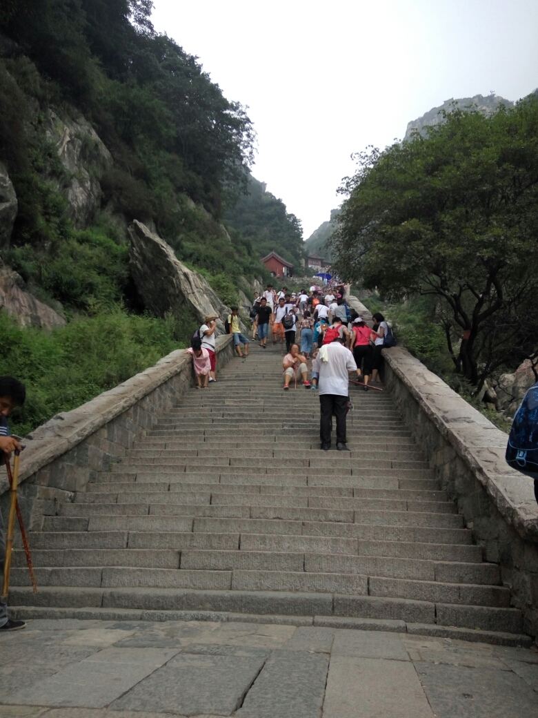 wKgBZ1mljXuAeGl9AAlOgRhSkNs78.jpeg?imageView2%2F2%2Fw%2F600%2Fh%2F600%2Fq%2F90