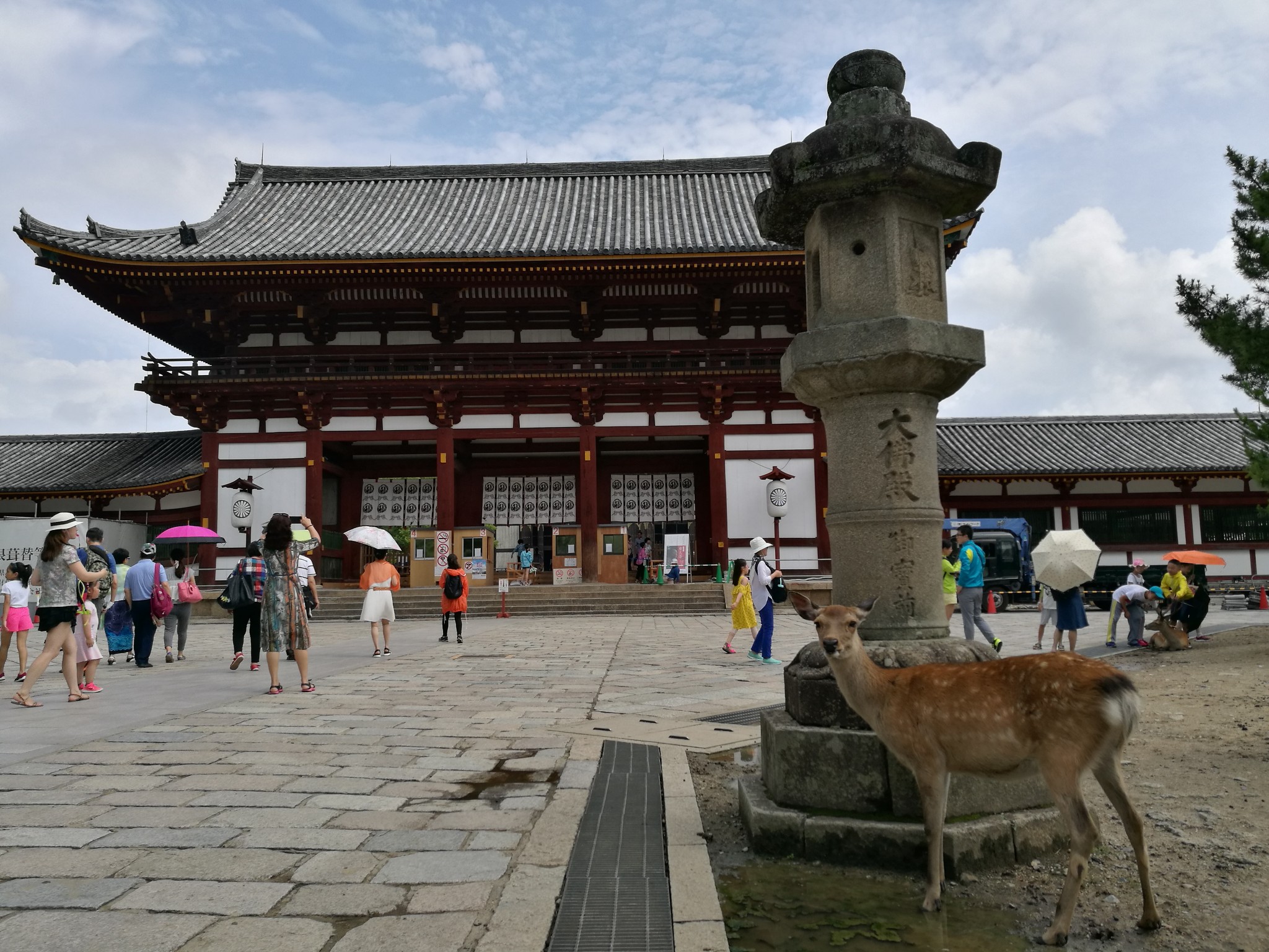 2017年7月大阪奈良京都河口湖东京十一日流水游记