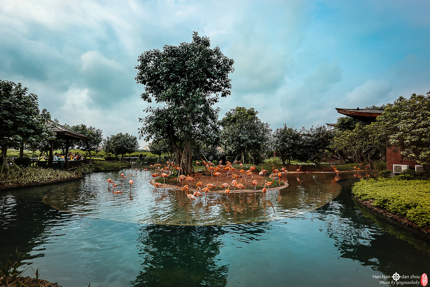 澄迈富力湾红树林湿地公园  