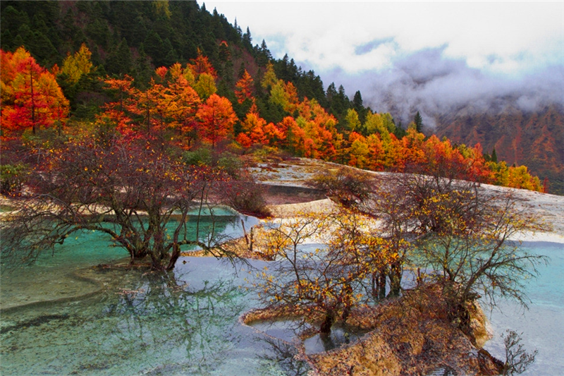 四川松潘黄龙风景区门票(山水相连的美)