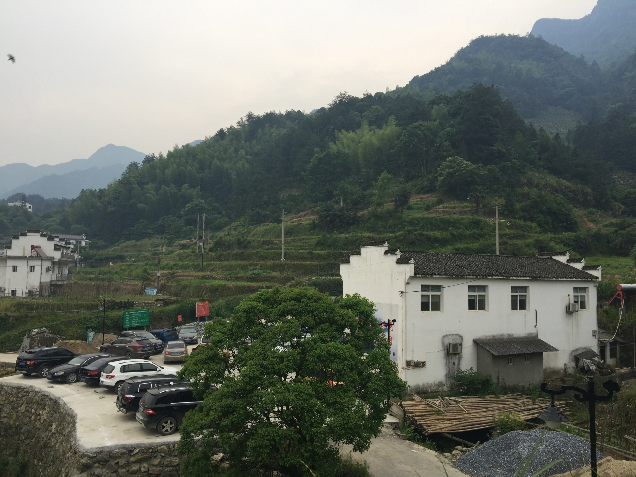 中国富硒第一村——石台县大山村