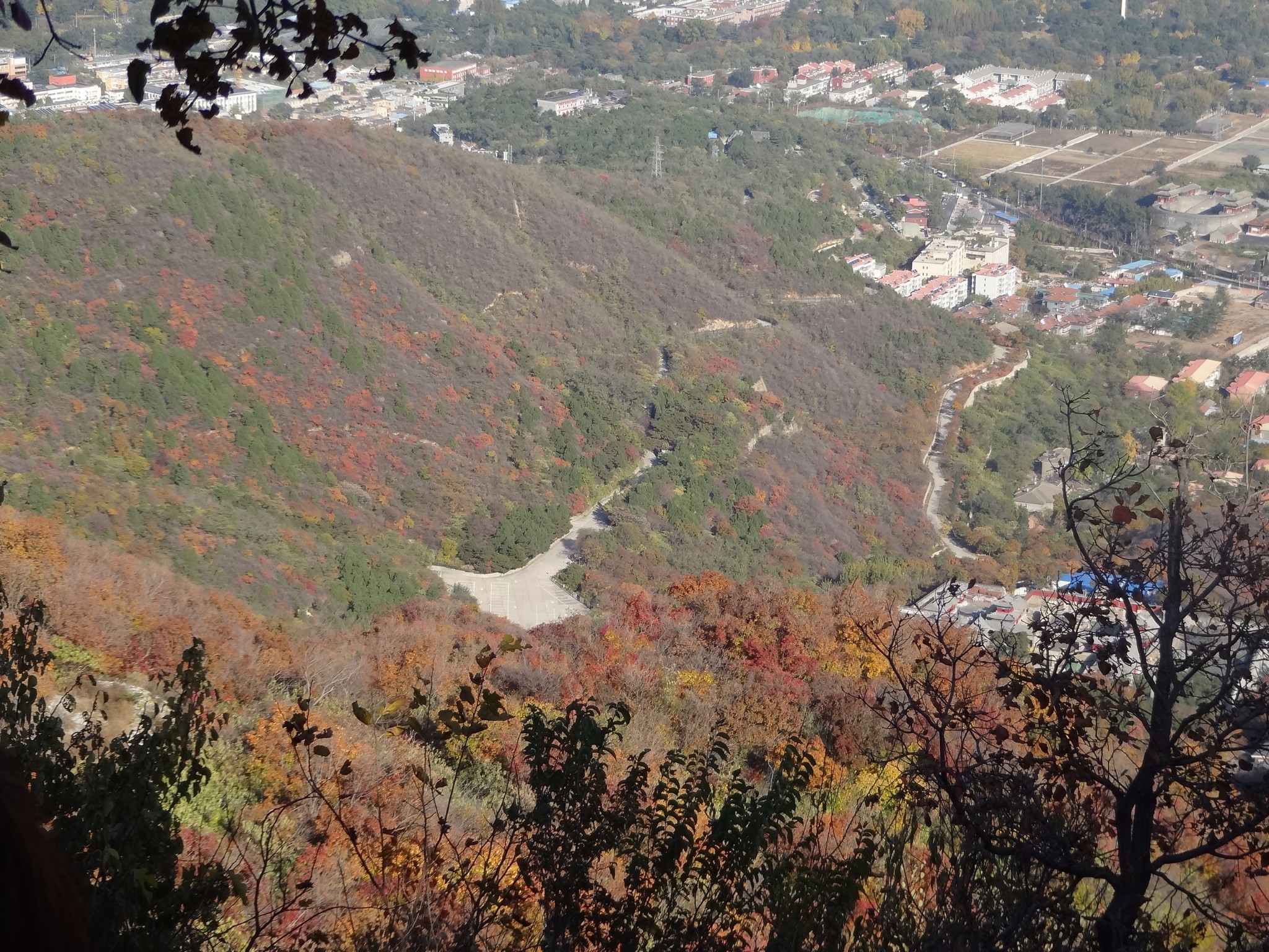 怎么搭香山_香山红叶简笔画怎么画(2)