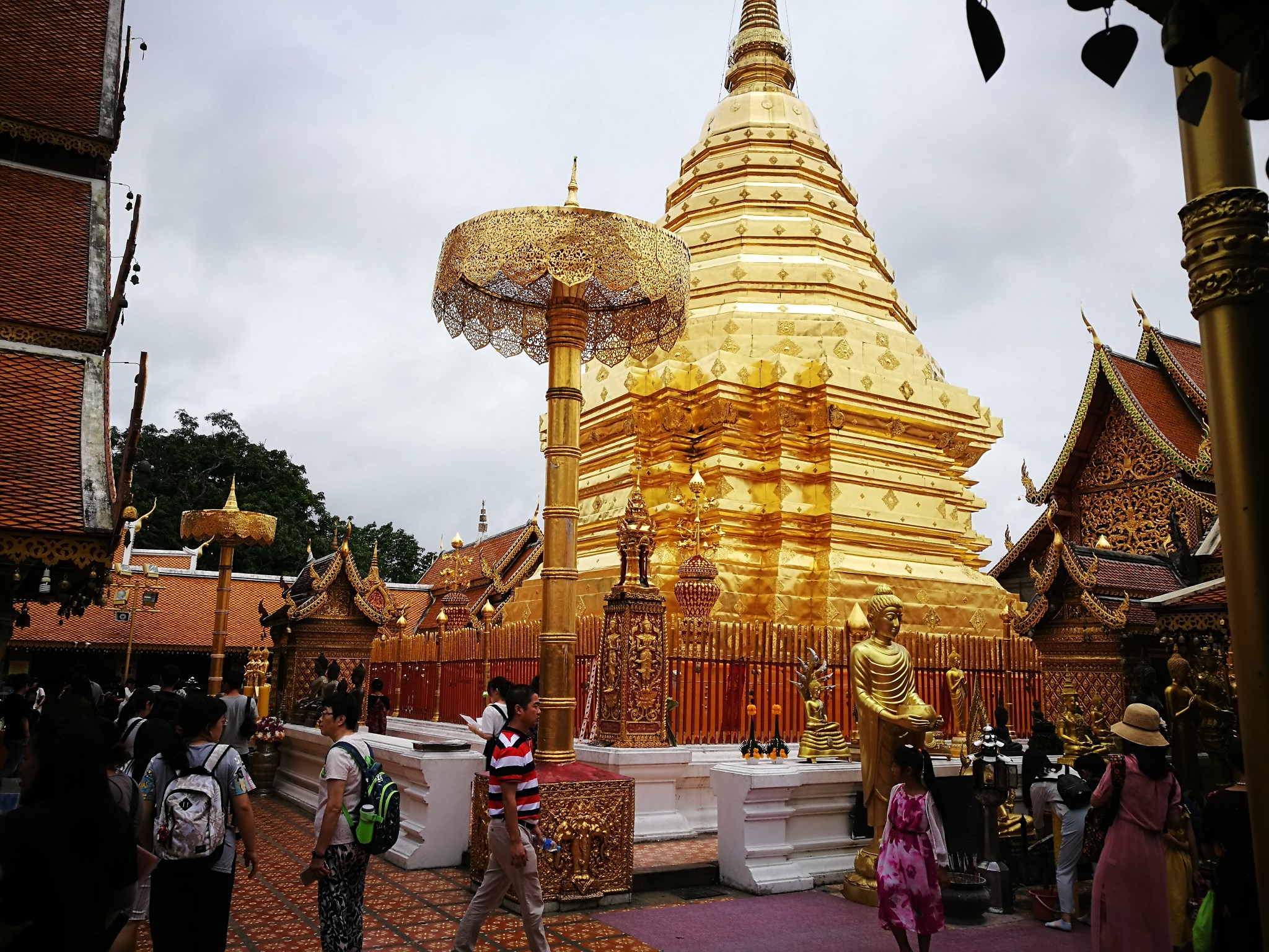 泰国清迈 跟团游6日4晚 实惠不累很好玩