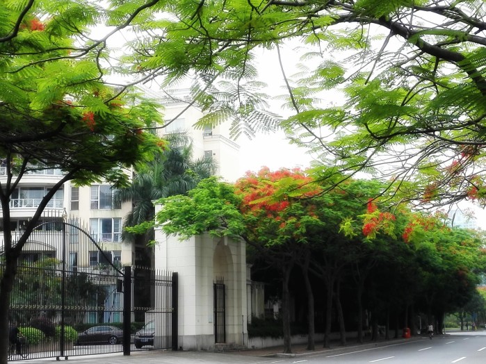 求广州两日游具体路线