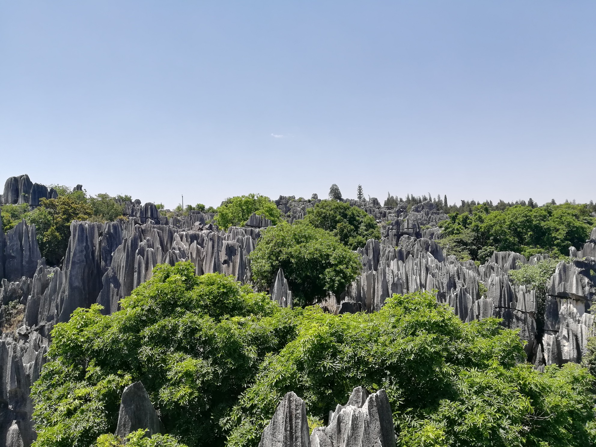 石林人口_如果你是一个自驾旅行者,这云贵川27个地方也许你该收藏(2)