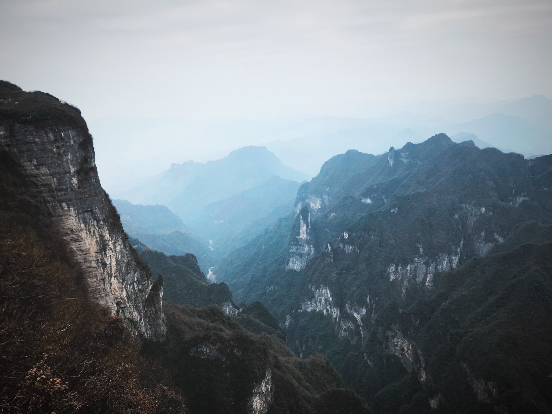 若有多少人口_若有战召必回图片