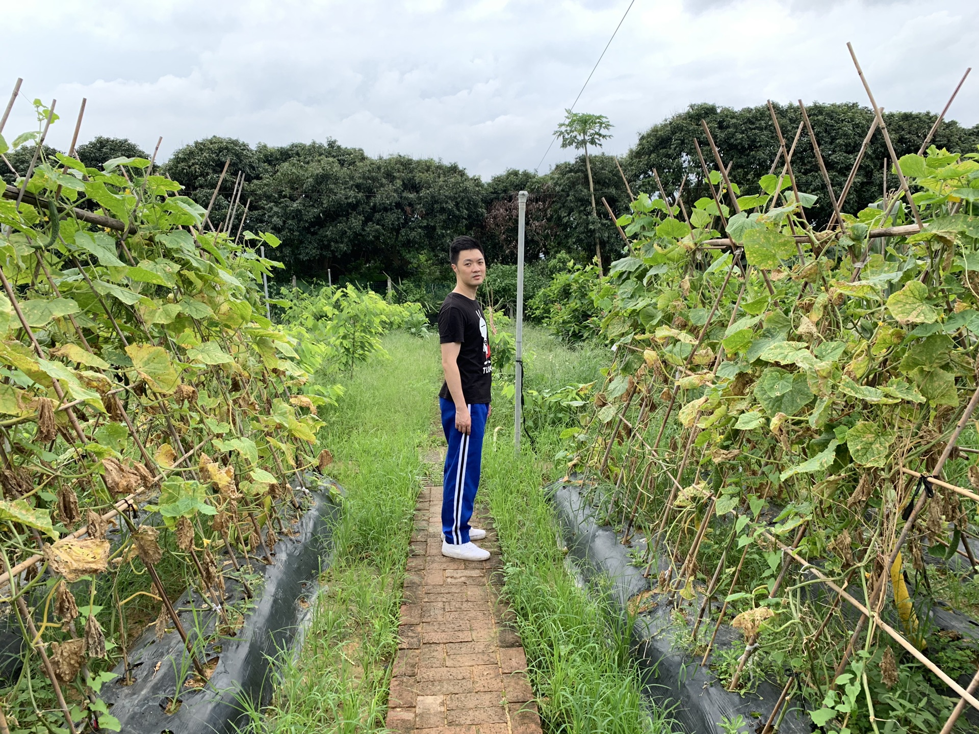 wKgBZ1zz02aAeMtcABMOa49kR9s512.jpg?imageView2%2F2%2Fw%2F680%2Fq%2F90%7CimageMogr2%2Fstrip%2Fquality%2F90