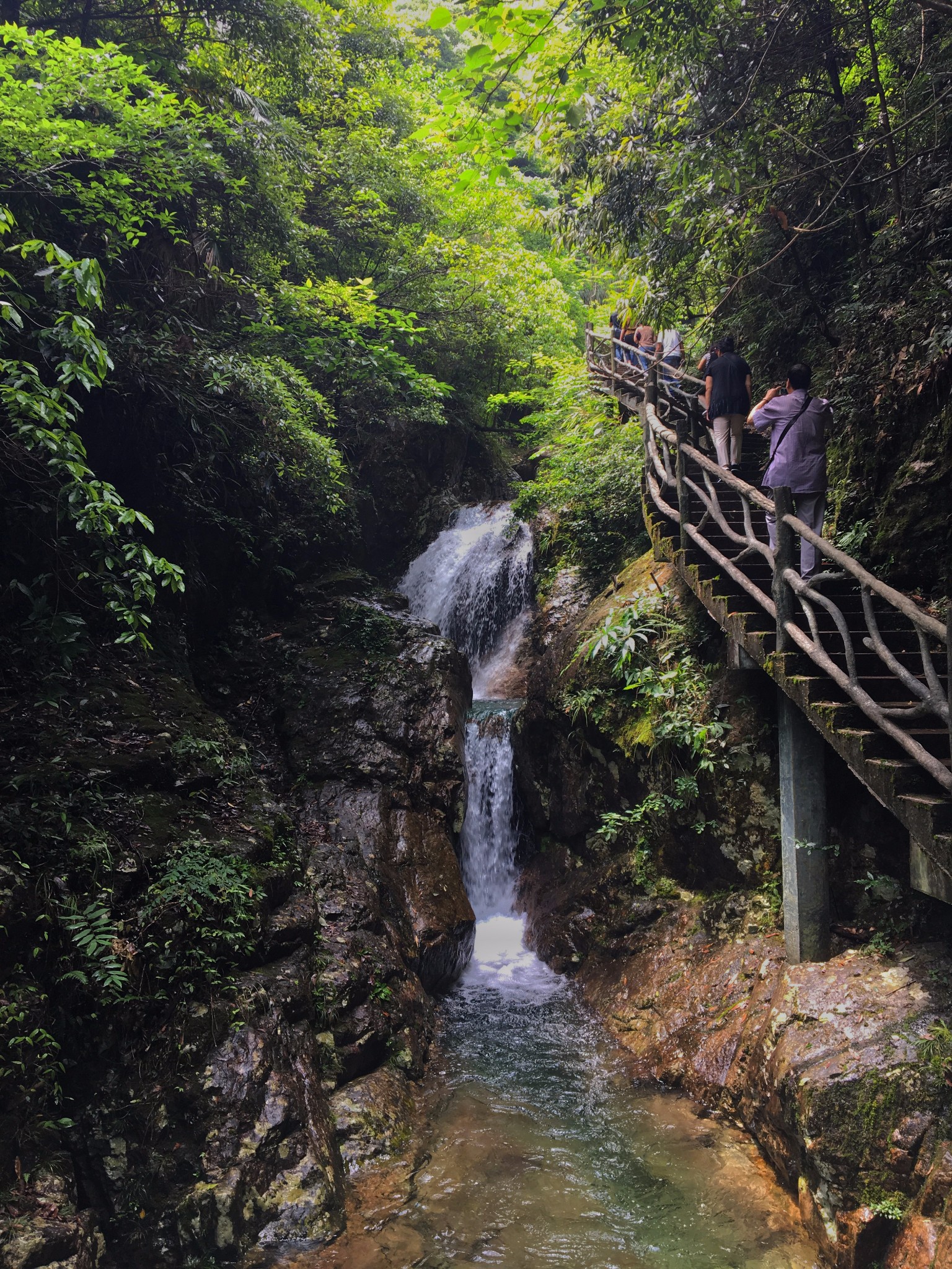 【松阳.丽水】雨天探访箬寮原始森林和象溪古村