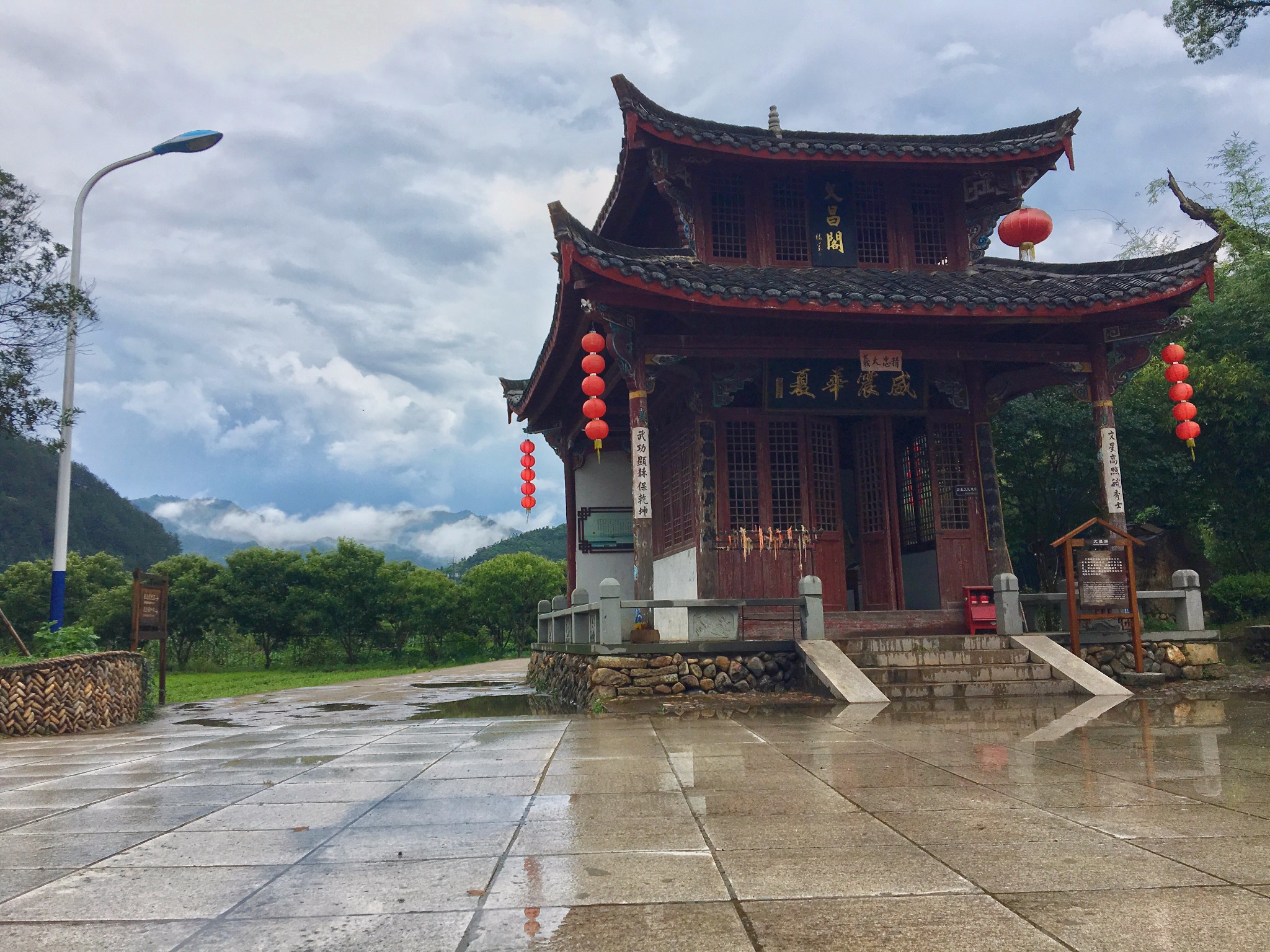 【松阳.丽水】雨天探访箬寮原始森林和象溪古村