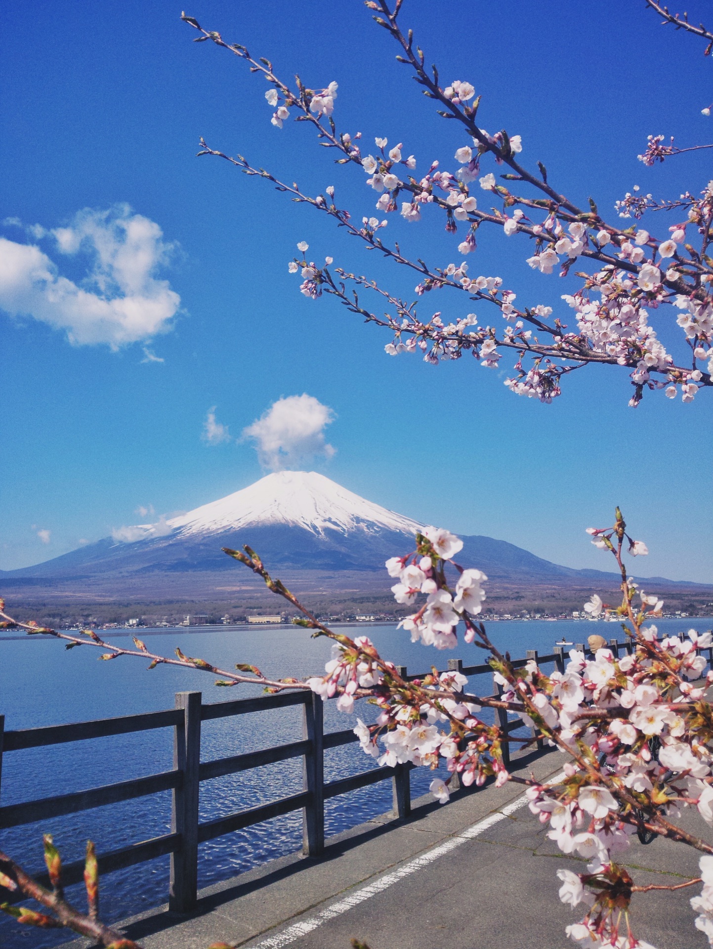 大阪奈良富士山东京6天5夜半自助游