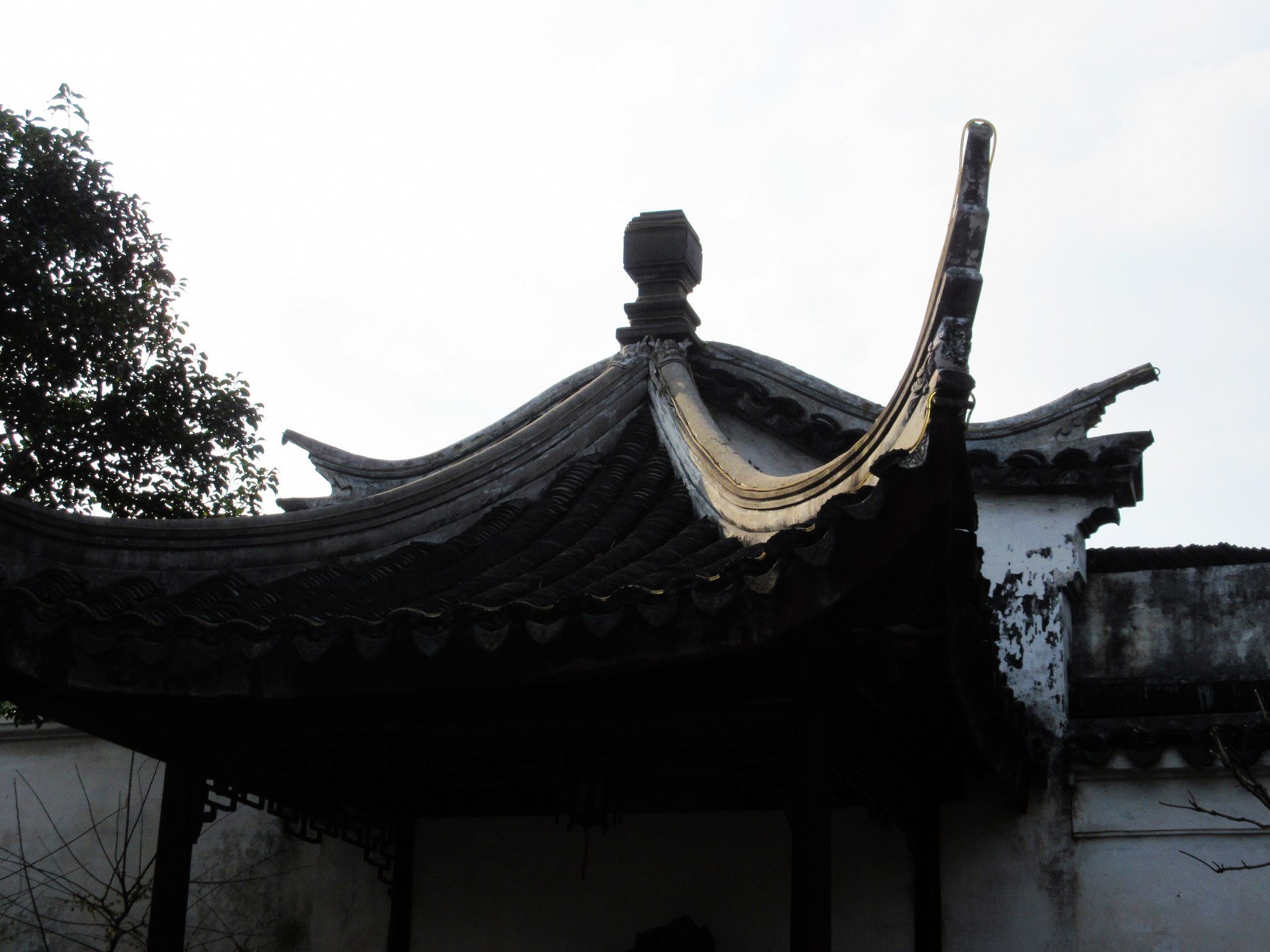 品赏苏州古典园林网师园看点详细解析