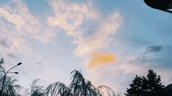 西梅真神器,在第比利斯的几天拉得神清气爽,所以才有一开头的坐在马桶