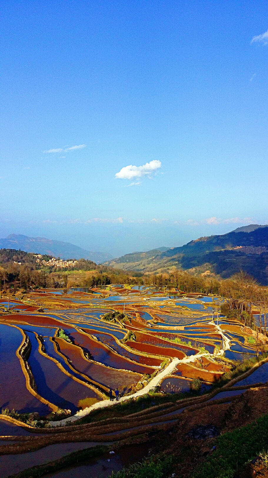 上帝的调色板:云南红河哈尼梯田,红河旅游攻略 - 马