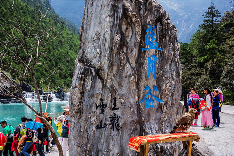 丽江玉龙雪山一日游 纯玩商务车团(保证冰川公园大索道票 蓝月谷 一价