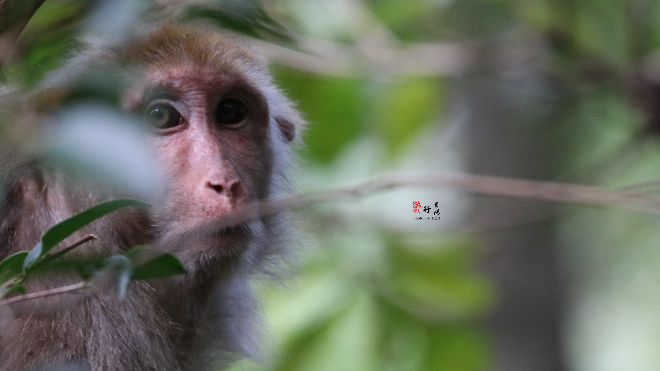 游攻略,贵阳自由行攻略,蚂蜂窝贵阳出游攻略游