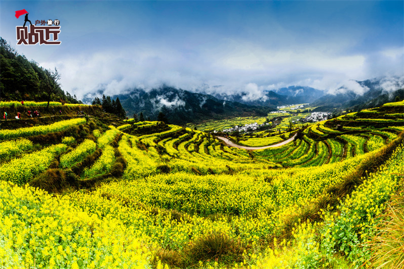 阳春三月,带你走进中国最美乡村-婺源,赏梯田油菜花,徽派建筑,小桥