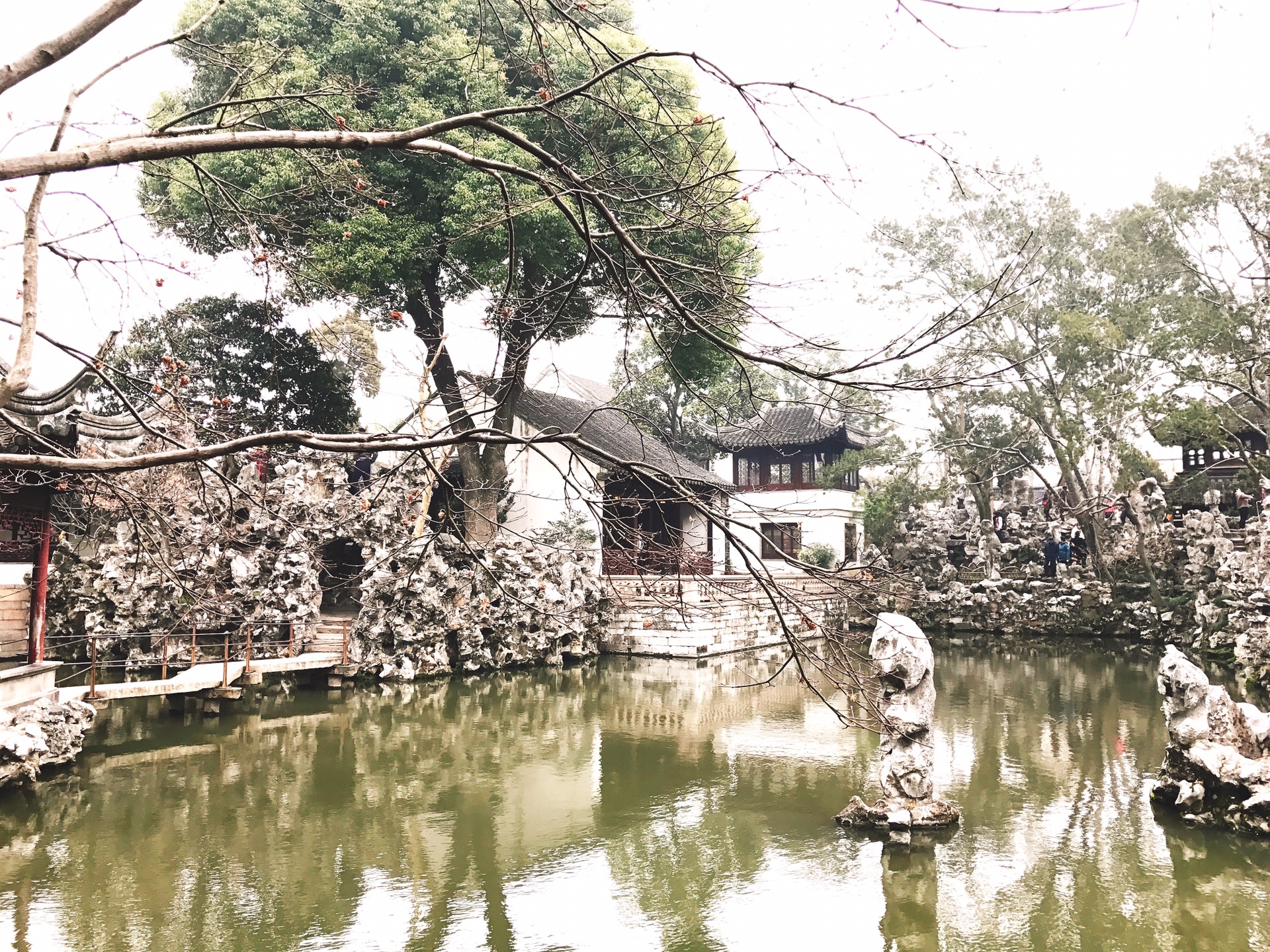 【雪3飞who的行走】印象苏州之狮子林,寒山寺,七里山塘,观前街,香雪海