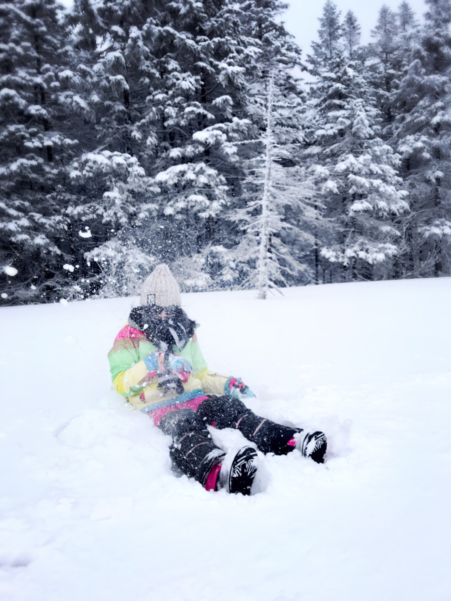 成语什么雪皑皑_有关雪的成语大全(2)