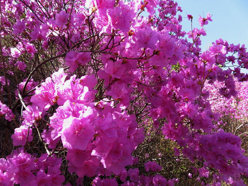 wKgBZ1j4ndmAACaTAA8QN_xM4WQ06.jpeg?imageView2%2F2%2Fw%2F680%2Fq%2F90