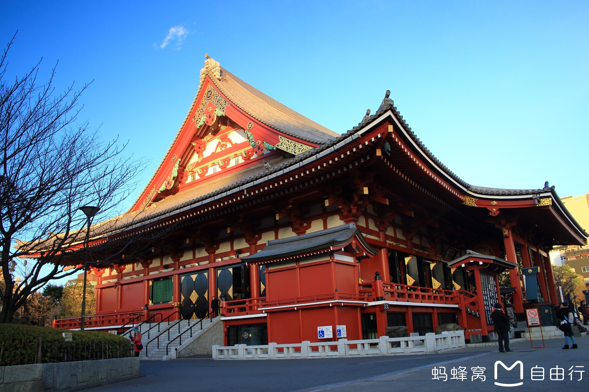 东京有多少人口2017_东京食尸鬼(2)