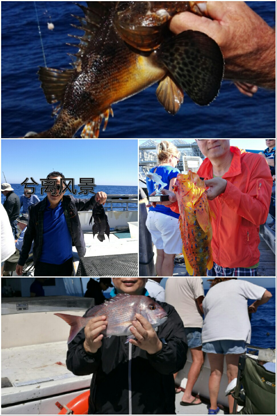 wKgBZ1mRZ9eAMPy-ABrKIvqUkAM893.png?imageView2%2F2%2Fw%2F600%2Fq%2F90%7CimageMogr2%2Fstrip%2Fquality%2F90