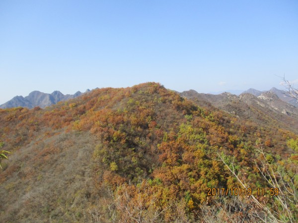 东沟游玩攻略,东沟风景区游玩攻略