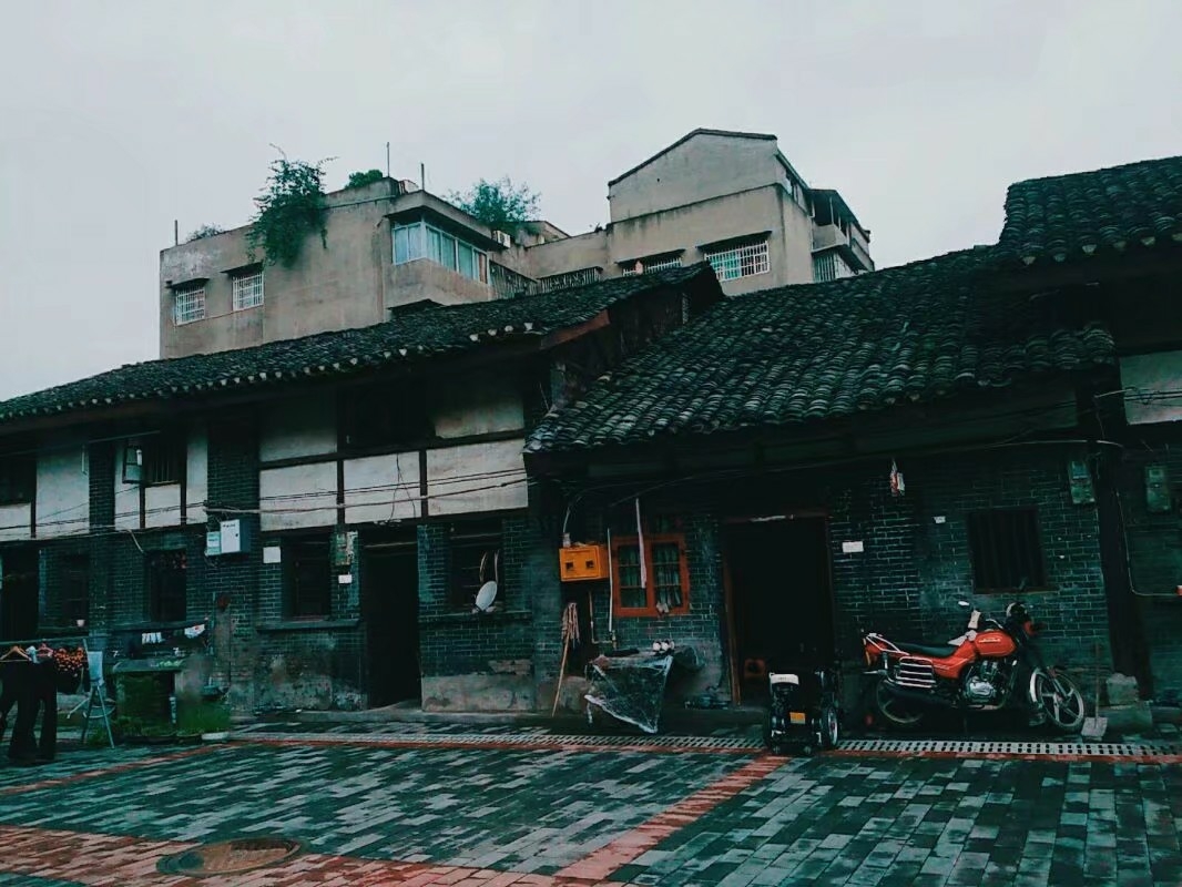 东溪镇多少人口_綦江区东溪镇图片(2)