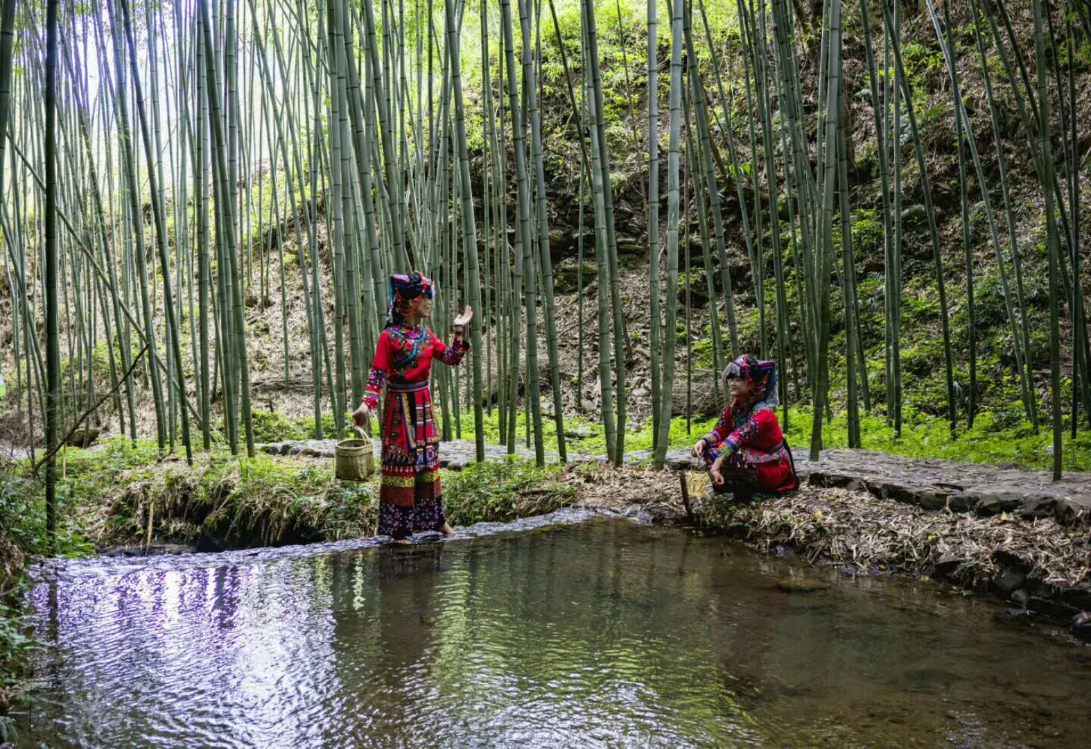 大洞竹海景区