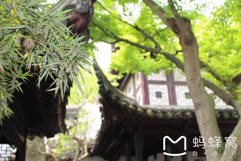 什么什么什么坠的成语_成语故事图片(3)