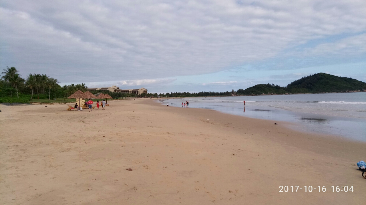 海南岛有多少人口_温州交投集团