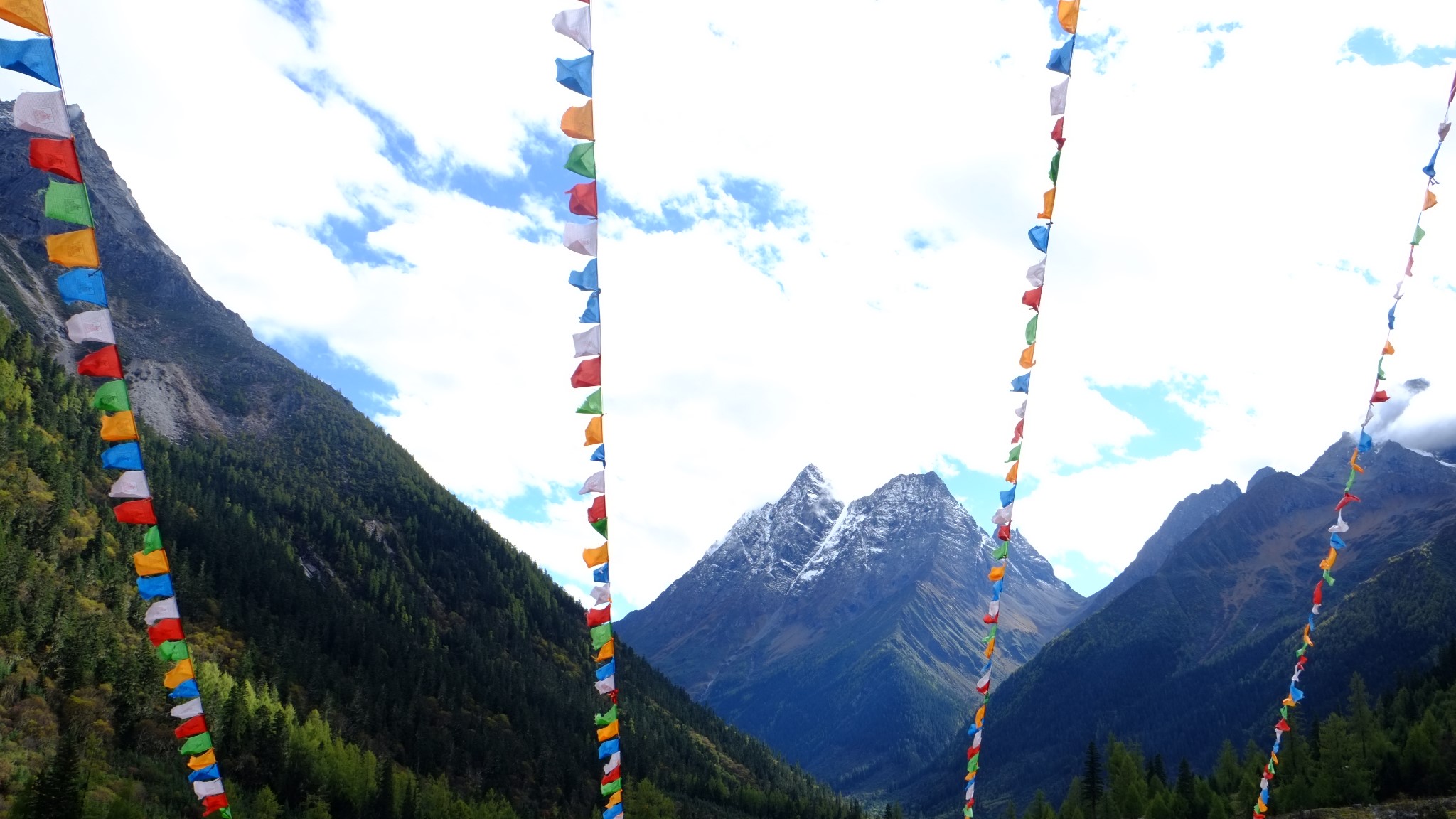 wKgBZ1n0OfSALVc-AAb_LQX6BFo75.jpeg?imageView2%2F2%2Fw%2F600%2Fh%2F600%2Fq%2F90