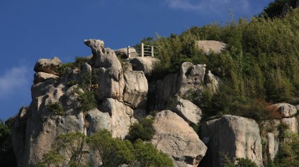 舟山朱家尖白山景区门票