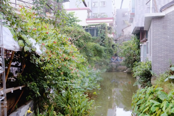 什么可以除掉地面青苔 wKgBZ1njWJmAdHYOAA1mFe0DJoI04.jpeg?imageView2%2F2%2Fw%2F600%2Fh%2F600%2Fq%2F90