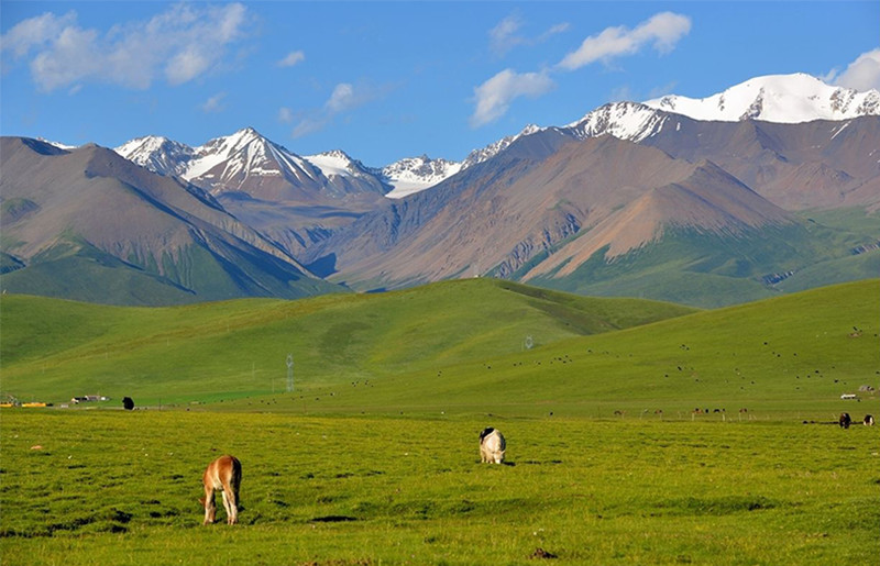 wKgBZ1lzAkWAAaK4AAIE1280AUg85.jpeg?imageView2%2F2%2Fw%2F510%2Fh%2F8000%2Fq%2F100