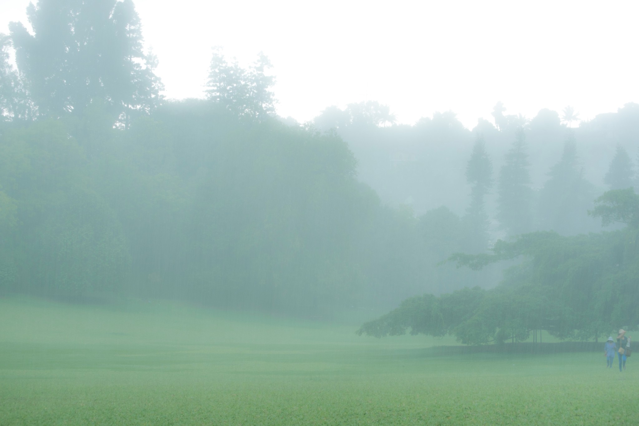 成语什么雨滂沱_成语故事简笔画(3)