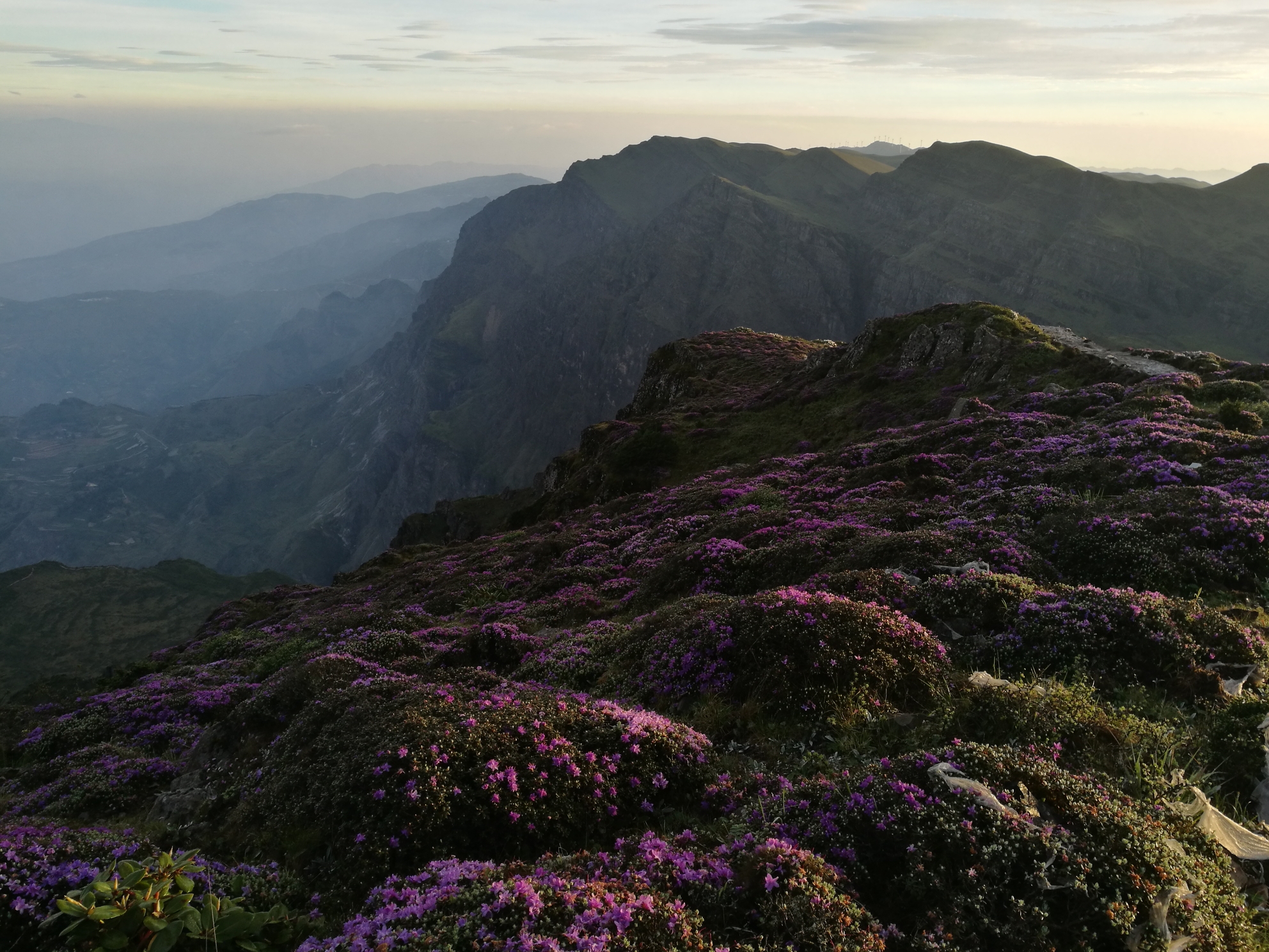 会泽大海草山,曲靖最高峰牯牛寨看日出,会泽旅游攻略