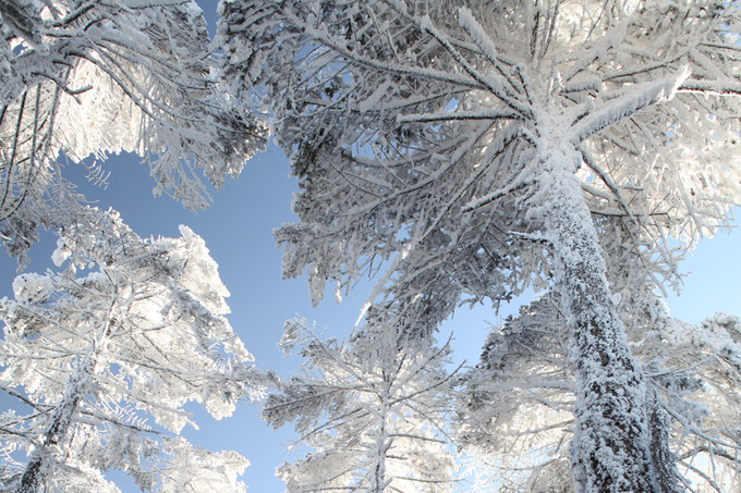 箐,沿花溪拾级而上,姊妹瀑布回望小江峡谷,经月亮岩鸟瞰雪松林及冷杉