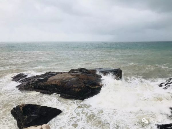 舟山青浜岛游玩攻略,舟山青浜岛游玩攻略一日游