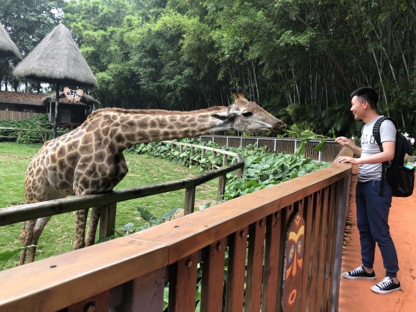 第3天:呀诺达热带雨林第一市场 酒店-呀诺达热带雨林 开车要30分钟吧! 跟天涯海角一样, 这里我也是第二次来了。 正如网上所说,这里的每一位工作人员都很热情!呀诺达 没有自拍杆,所以几乎都是大头照 只是凹个造型而已 这电子导游,像戴个助听器一样! 他发现了哈哈 四年前我也是这样拍的 真心觉得这些雨林类的还是需要个导游,不然会玩的很枯燥。虽然检票处有发电子导游,几乎都是放音乐,个别处讲几句。当个地图还好! 我跟先生路上会蹭一下别人的导游。听听哪个植物是见血封喉、哪个树皮可以做